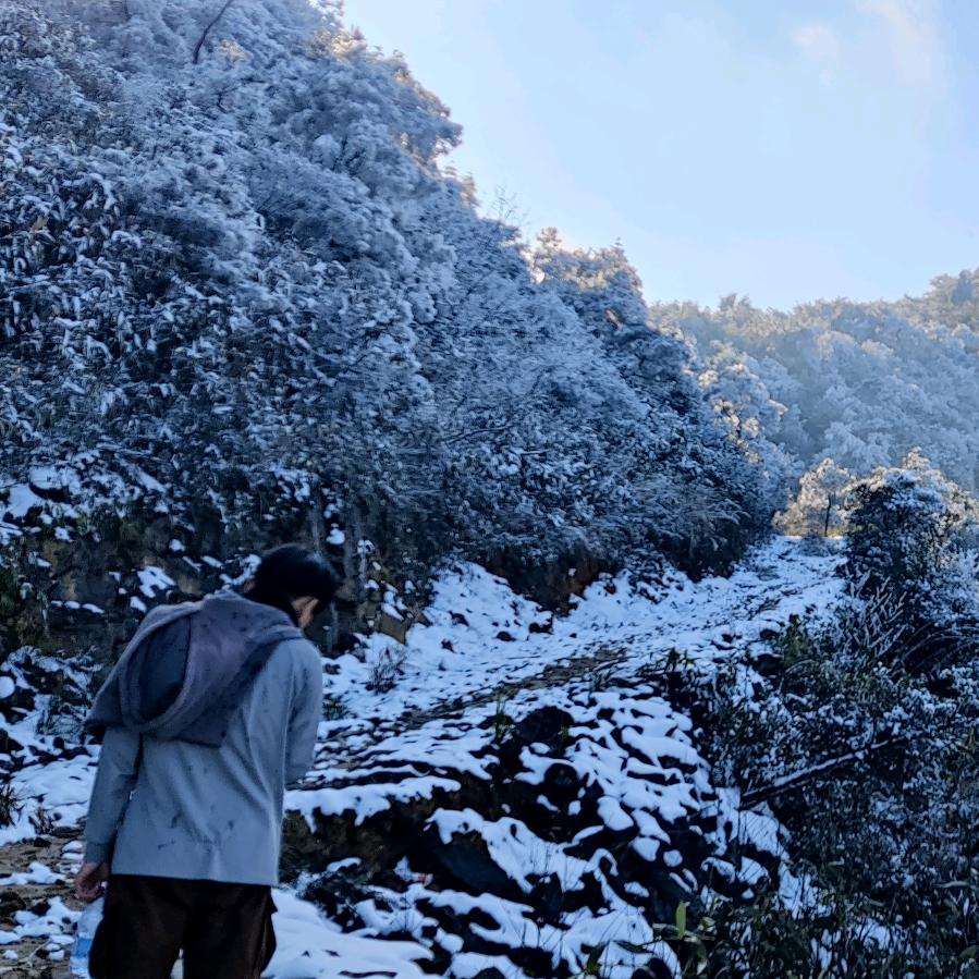 淋南漈雨
