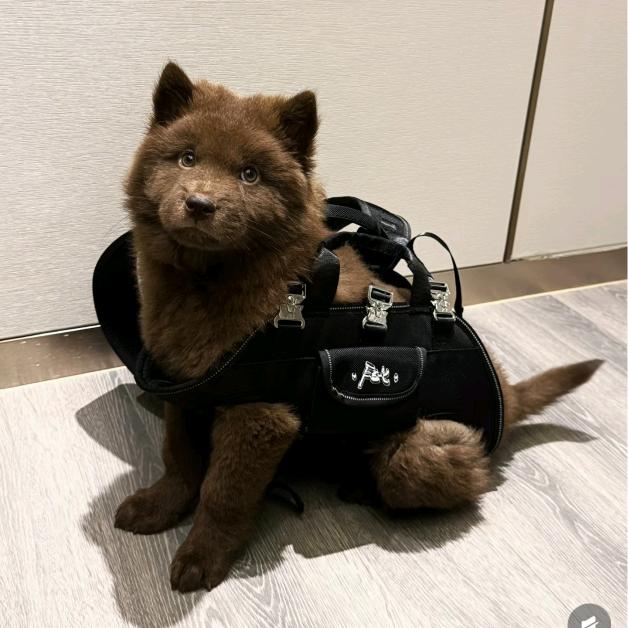 文具盒