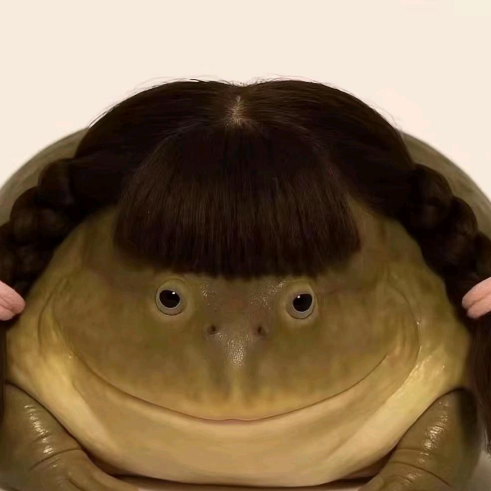猪毛