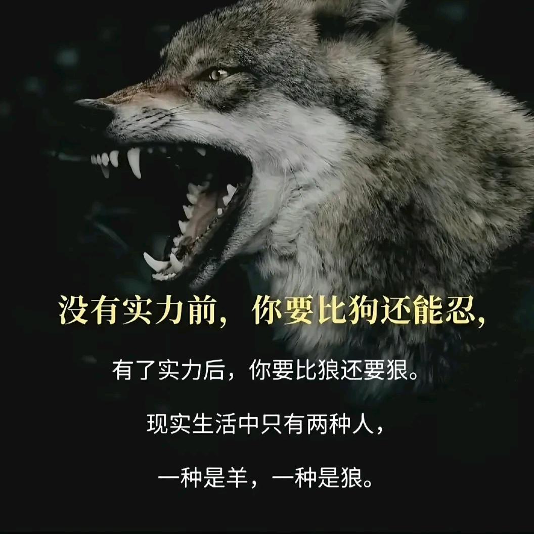 没有回忆