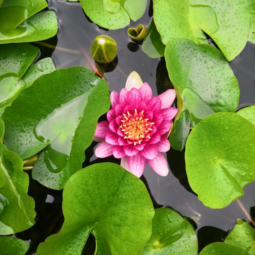 曾经沧海