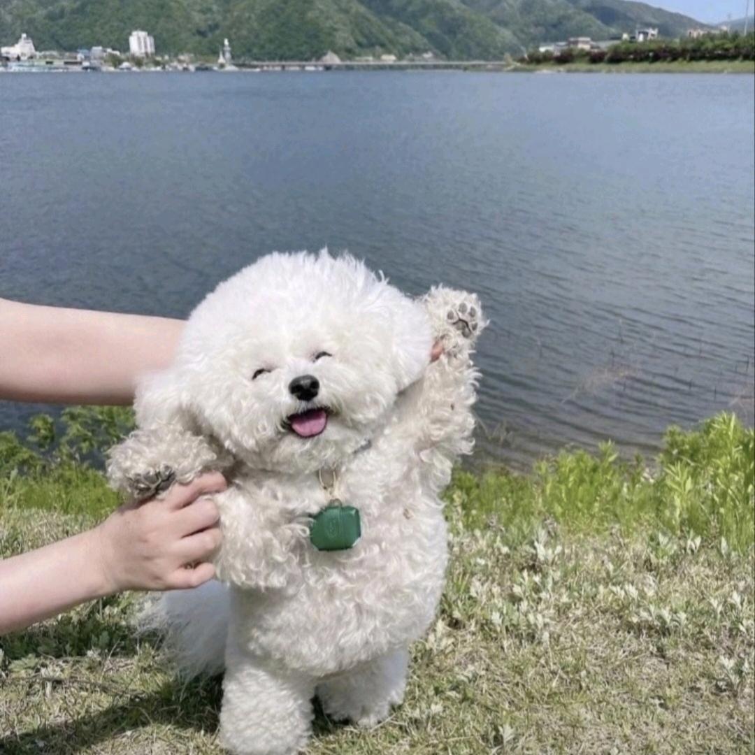 亿百万👈