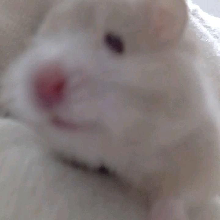 爱我