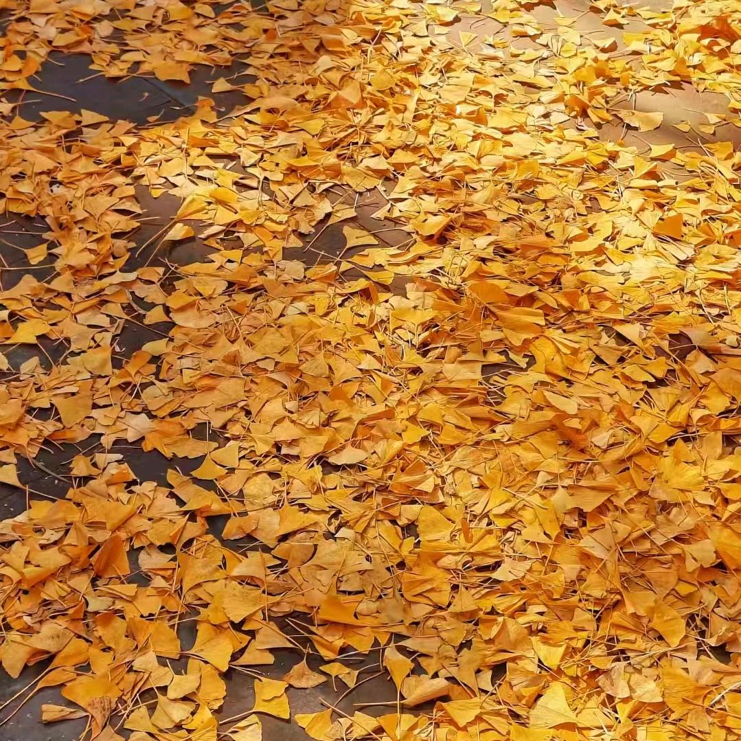 🥤开心就好❤️