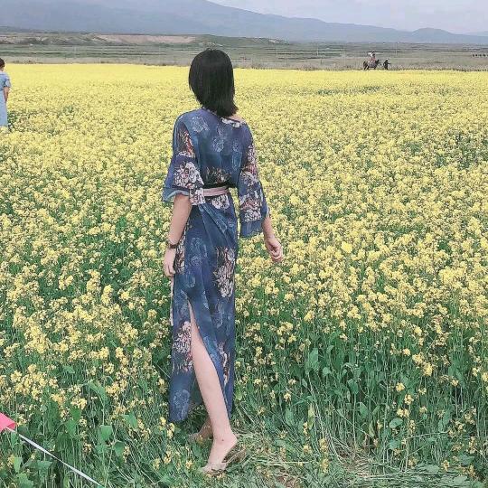 西南村葡萄书记🍀