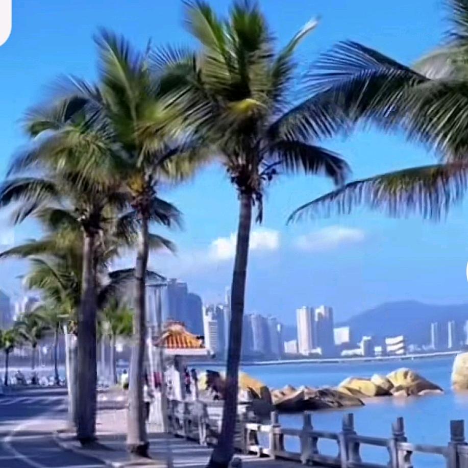 一路顺风