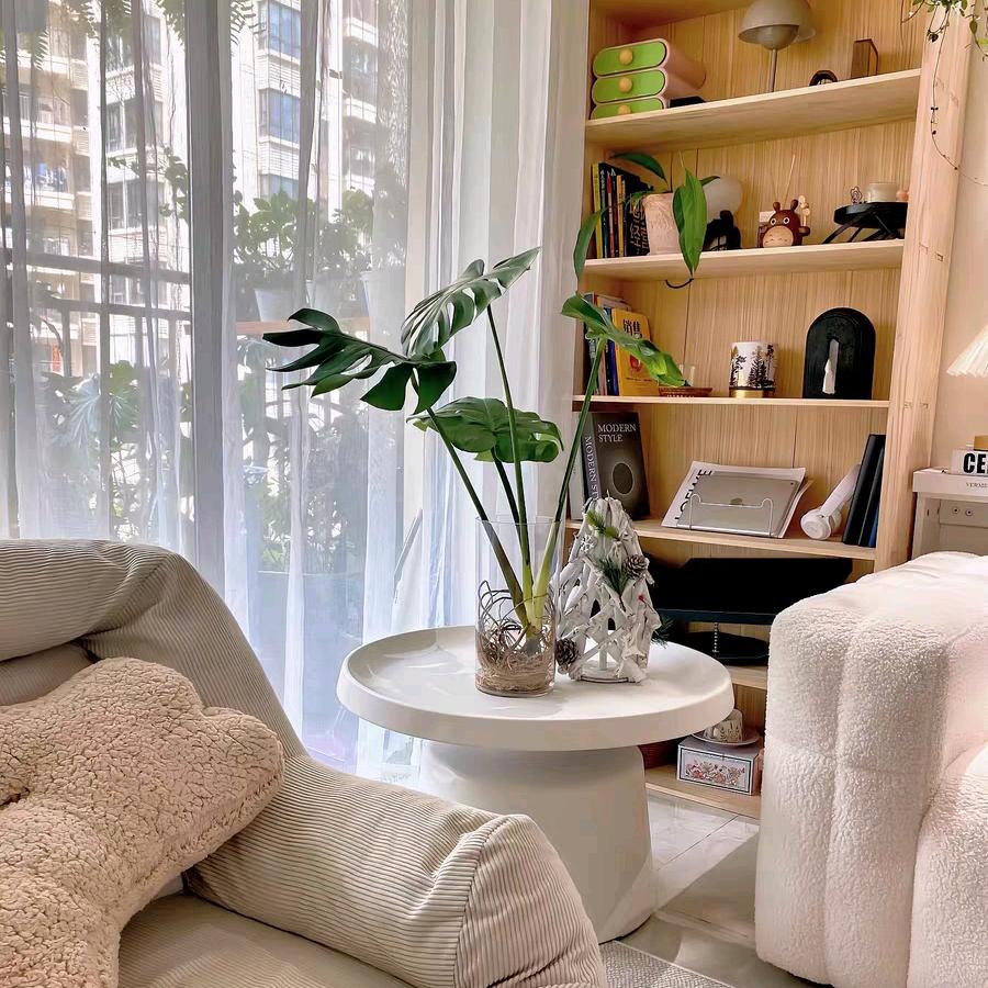 装修日记（软装中🏠）