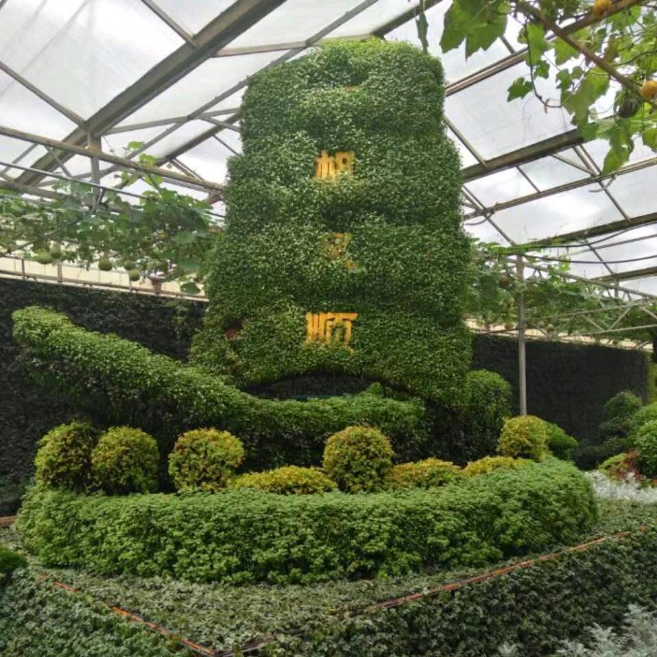 杰蕊