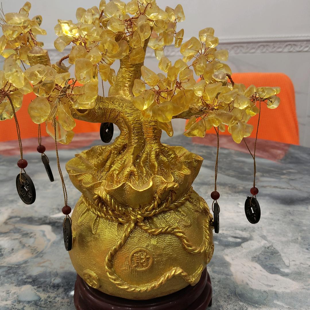 愉快的一天(🐒)