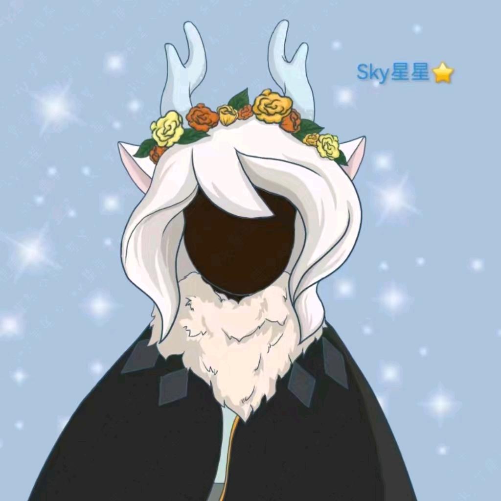 Sky星星