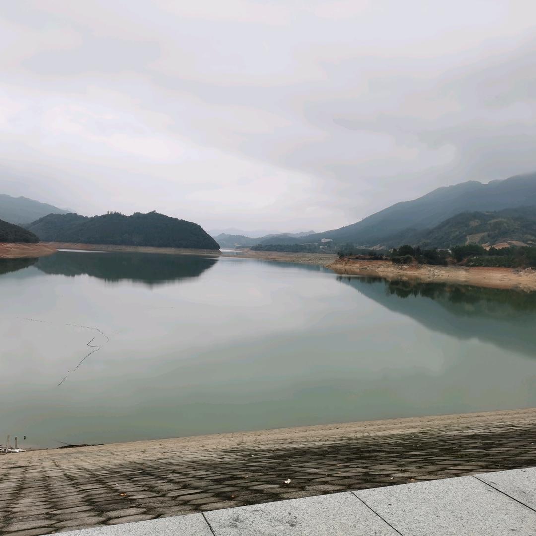 云姐