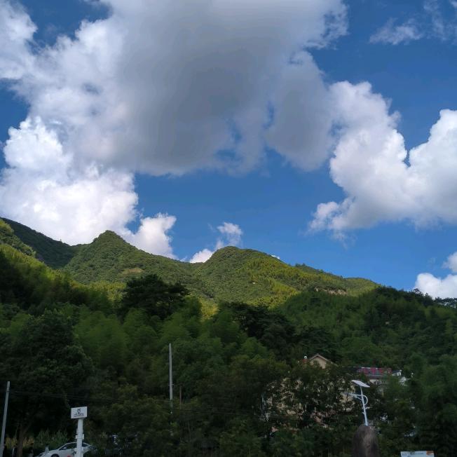 龙凤呈祥麻麻