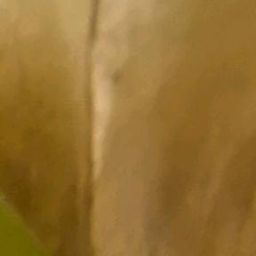 用户 780487368