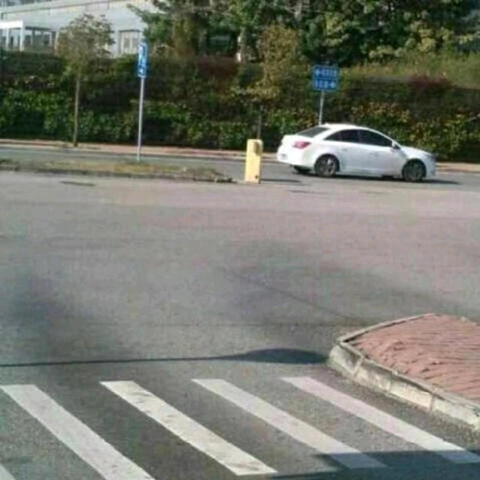 罗镕文