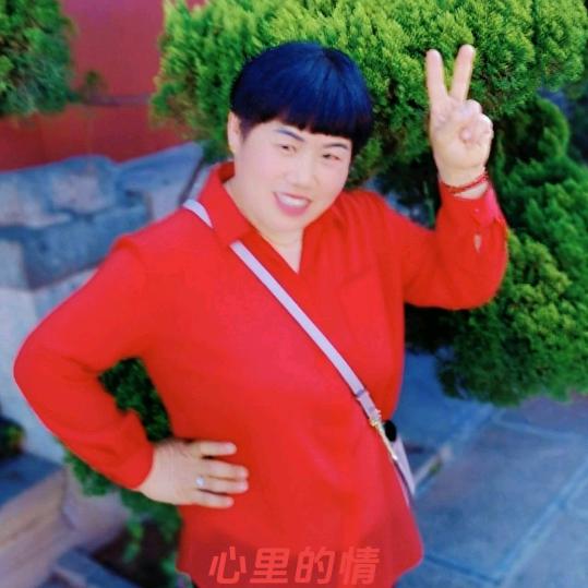 河南刘姐，