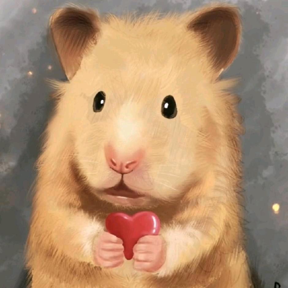 🛵逐风暮雨亦成诗