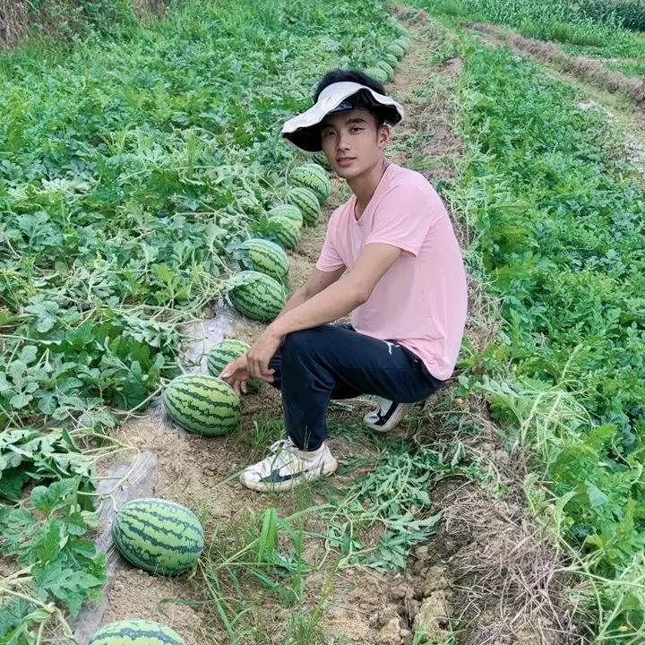 贵州铜仁沿河百亩西瓜基地