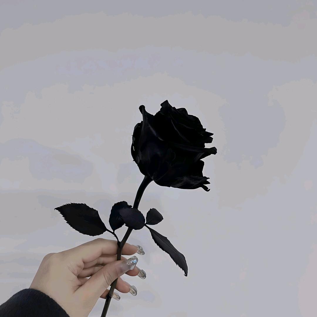 丹 : 𝐷áи