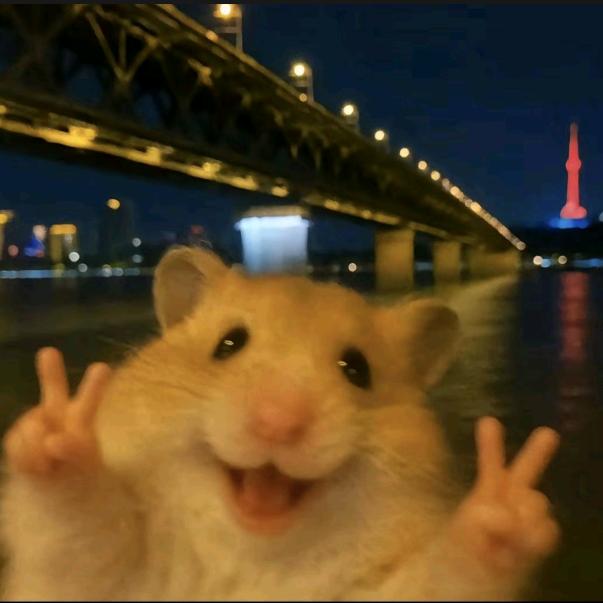 最渣男主角（三角洲接单中 喜欢精选）