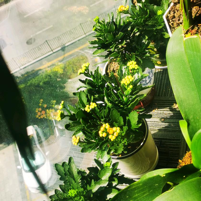 长春市思德彤教育科技有限公司宠粉号