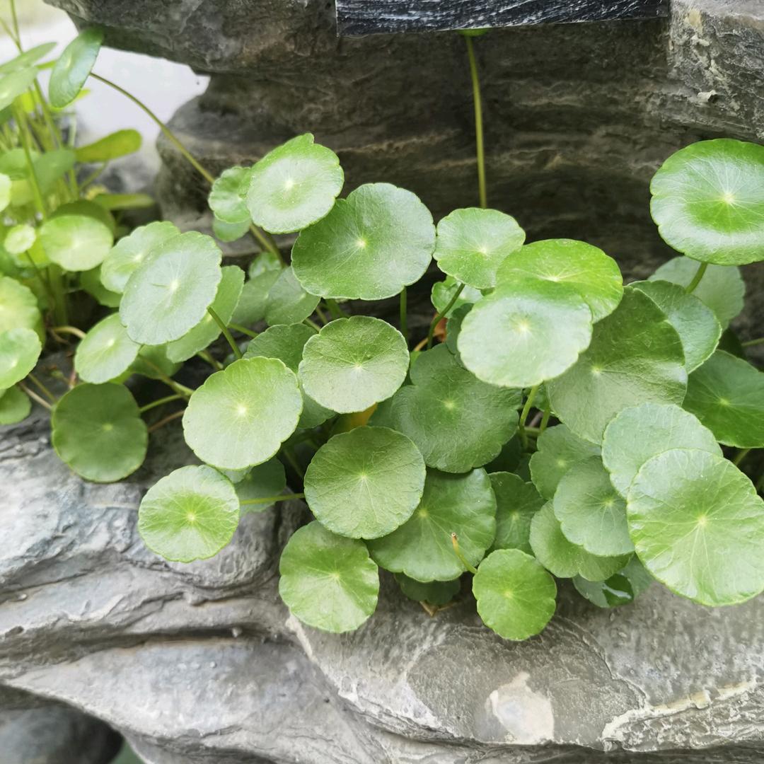 不多不少刚刚好