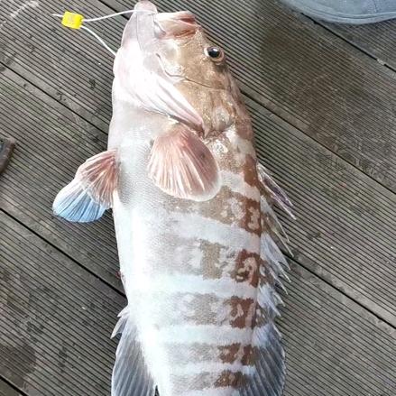 凤舞九天海钓俱乐部