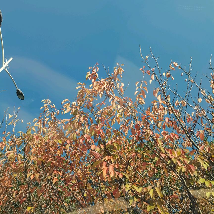 特别的💥不特别。