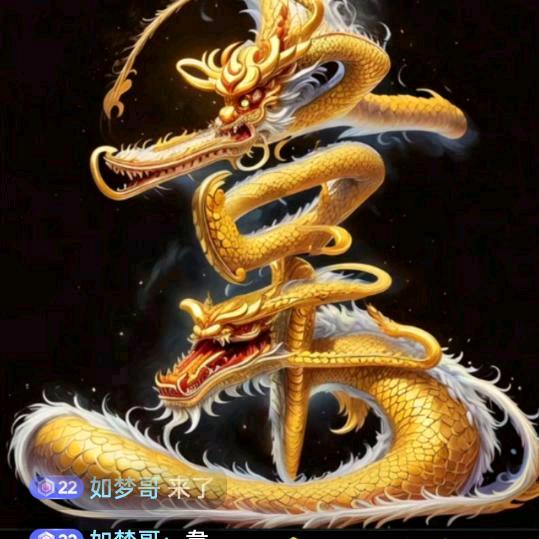 如梦哥