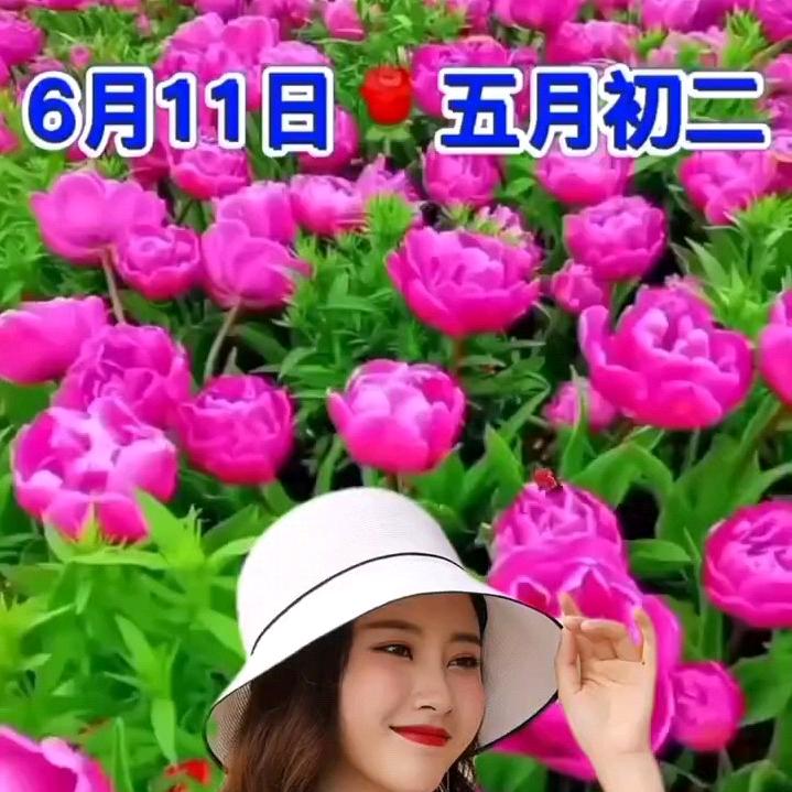 明天更好巜勇粉》