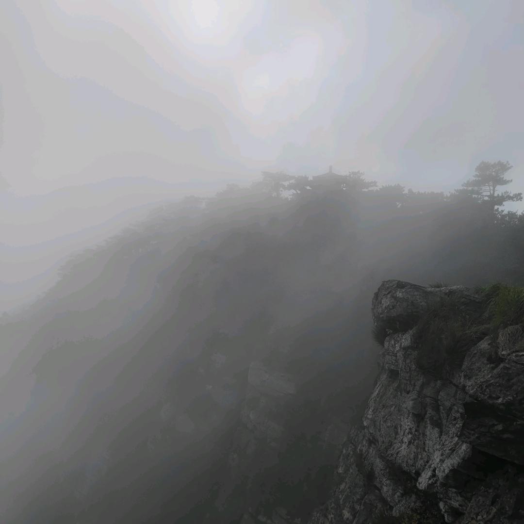 骑着马儿来