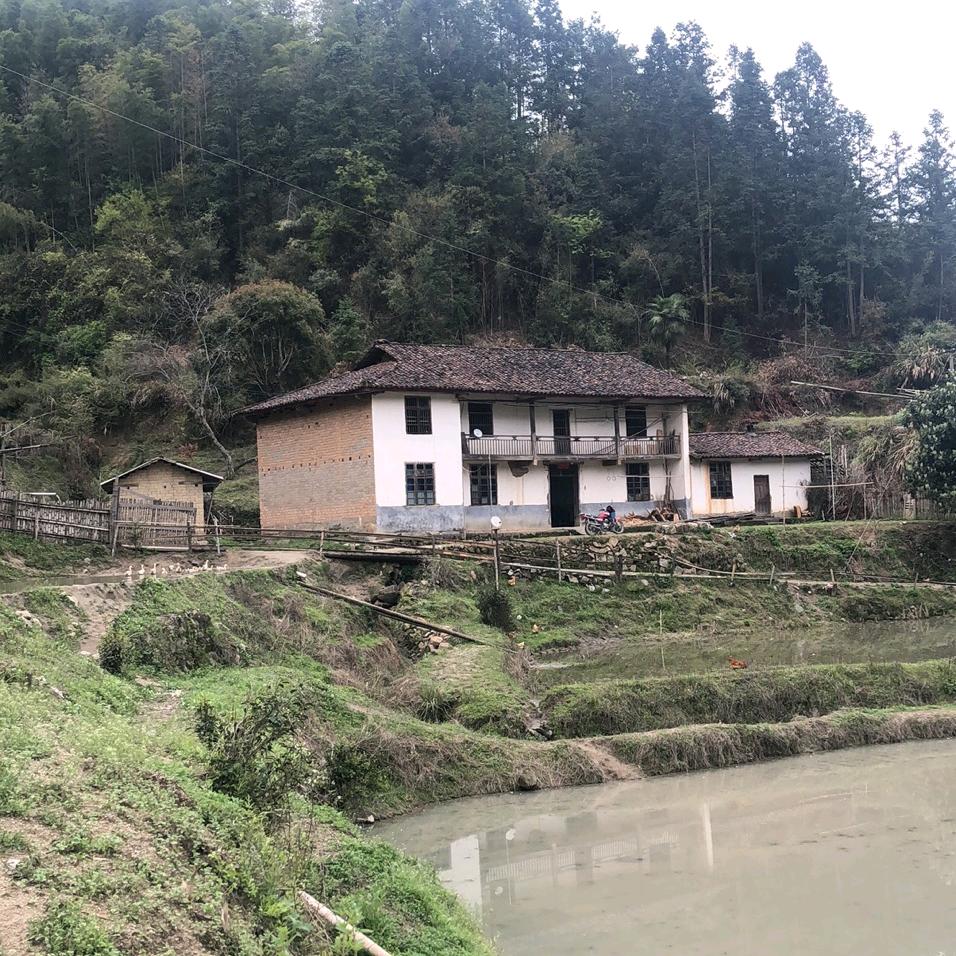 龚喜发财