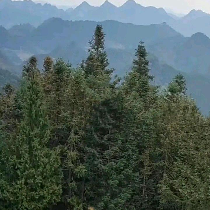 专业风景和环景学