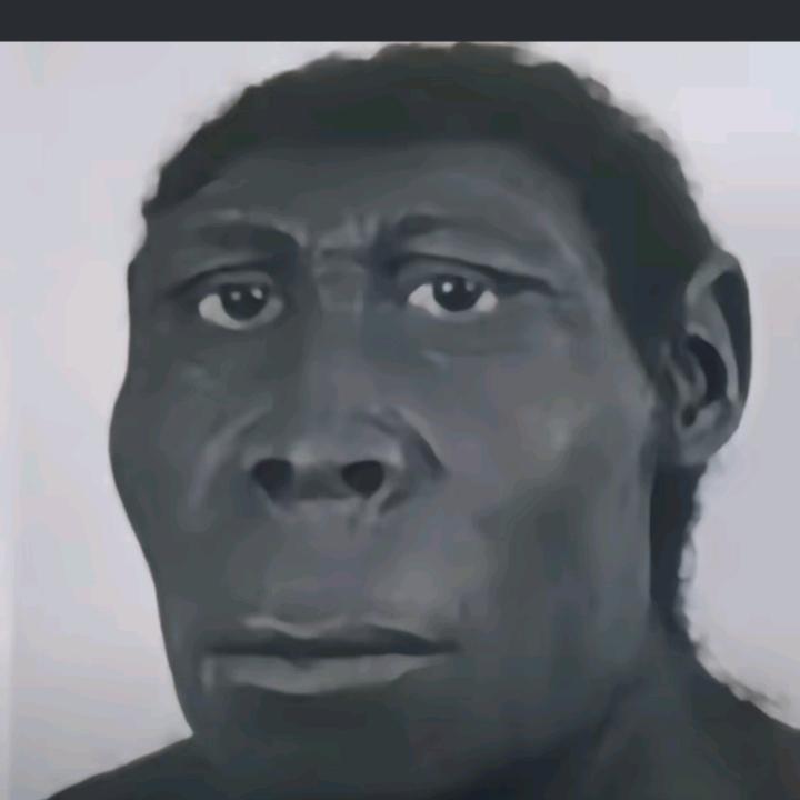 纽西