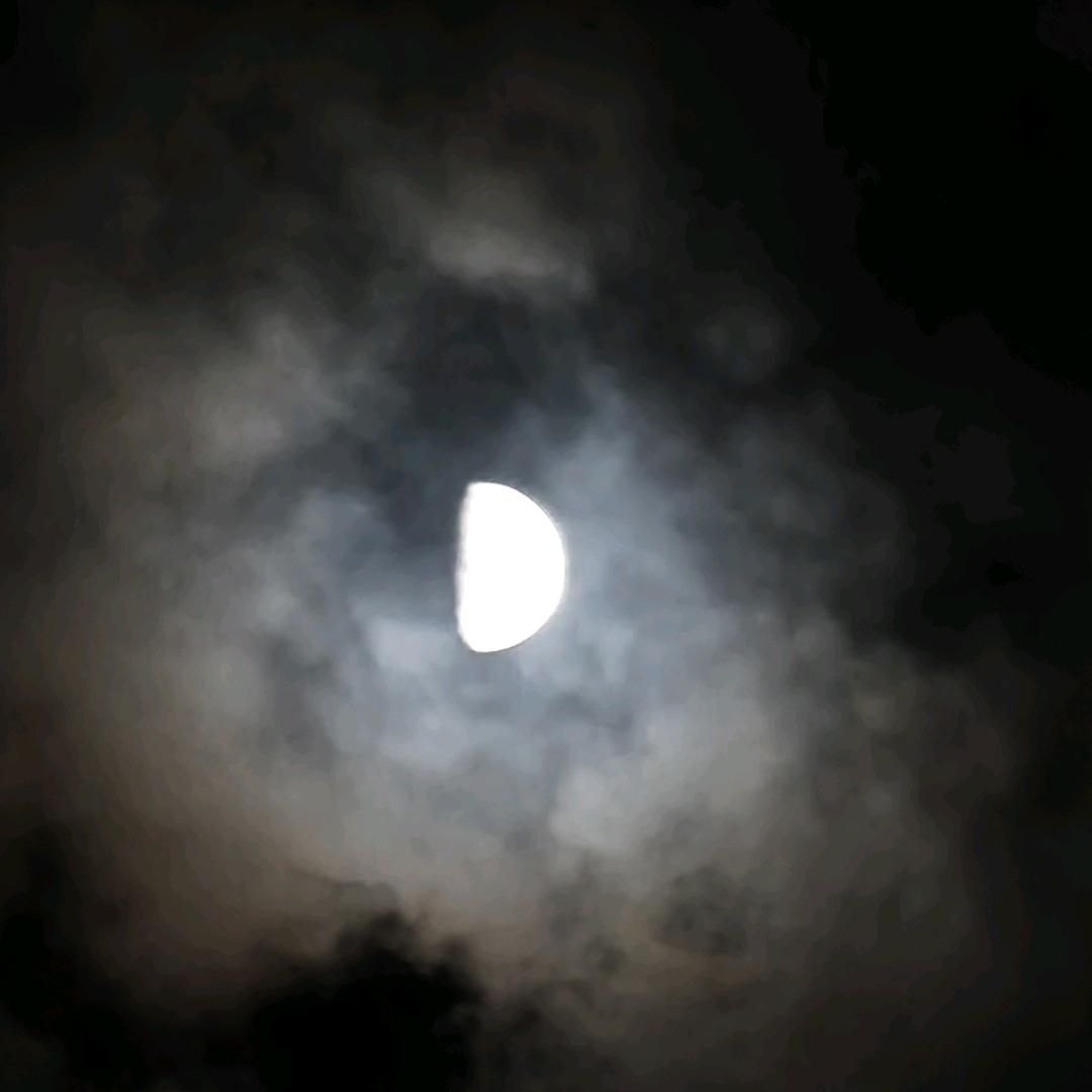 风来过