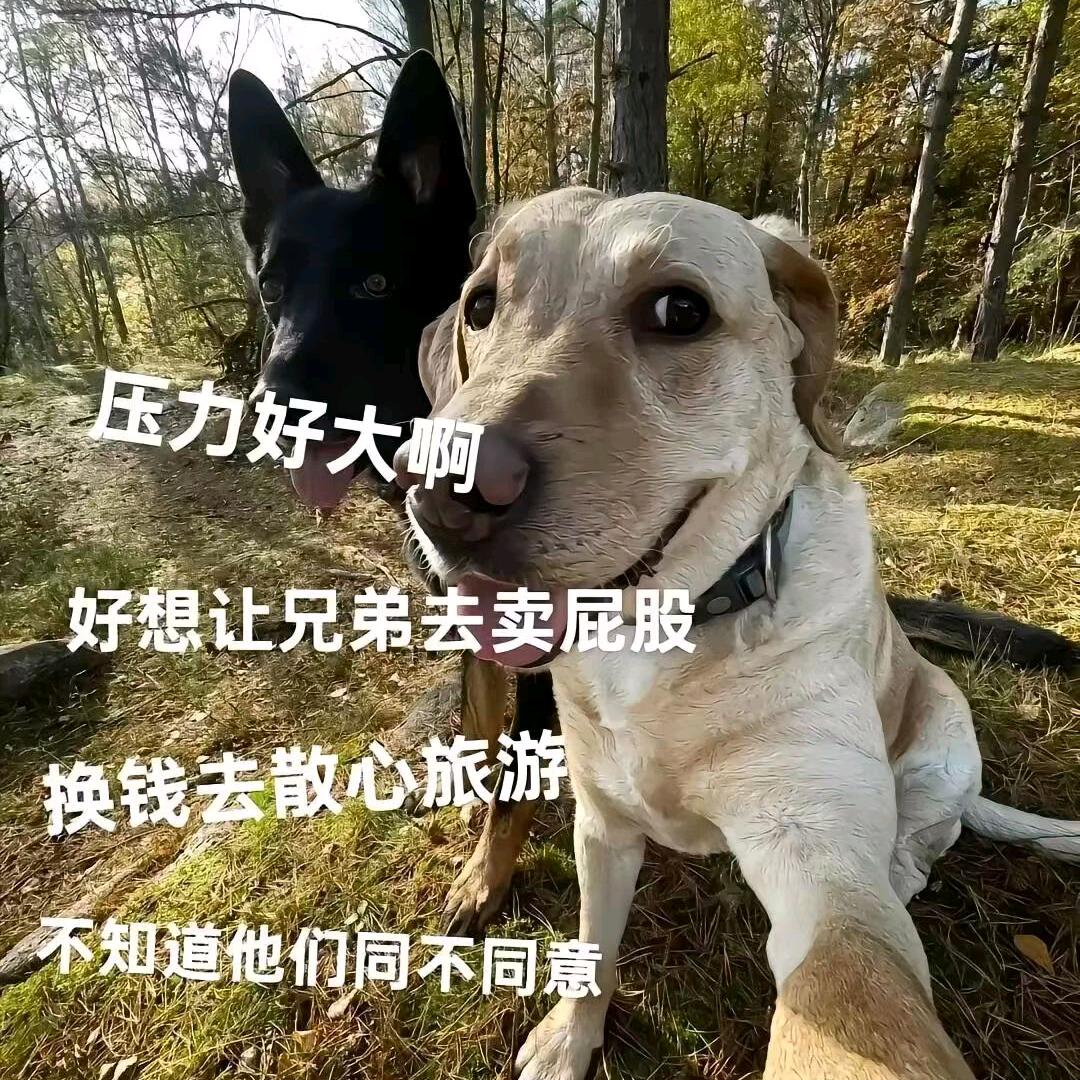 失语（三角洲）