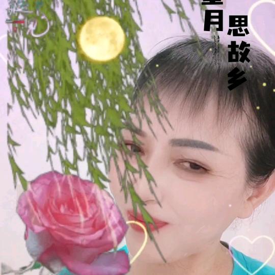 抖音是最开心静美