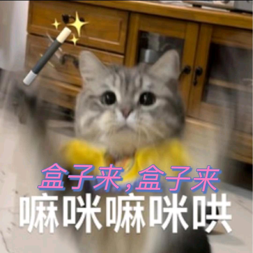 叫不醒的狗子