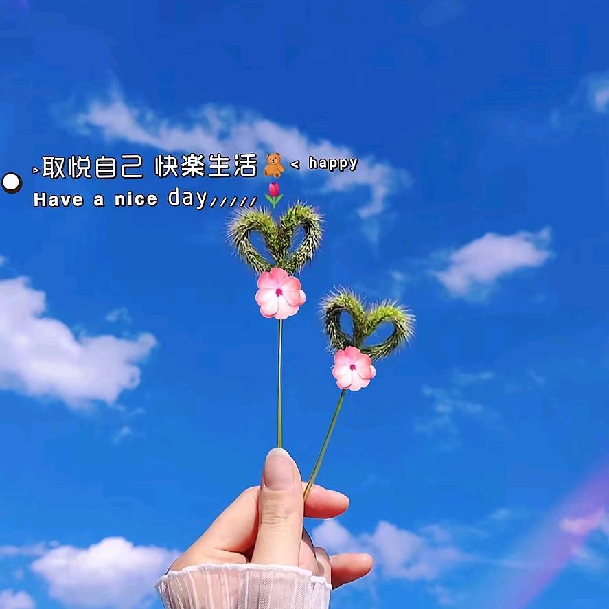 女人的天下