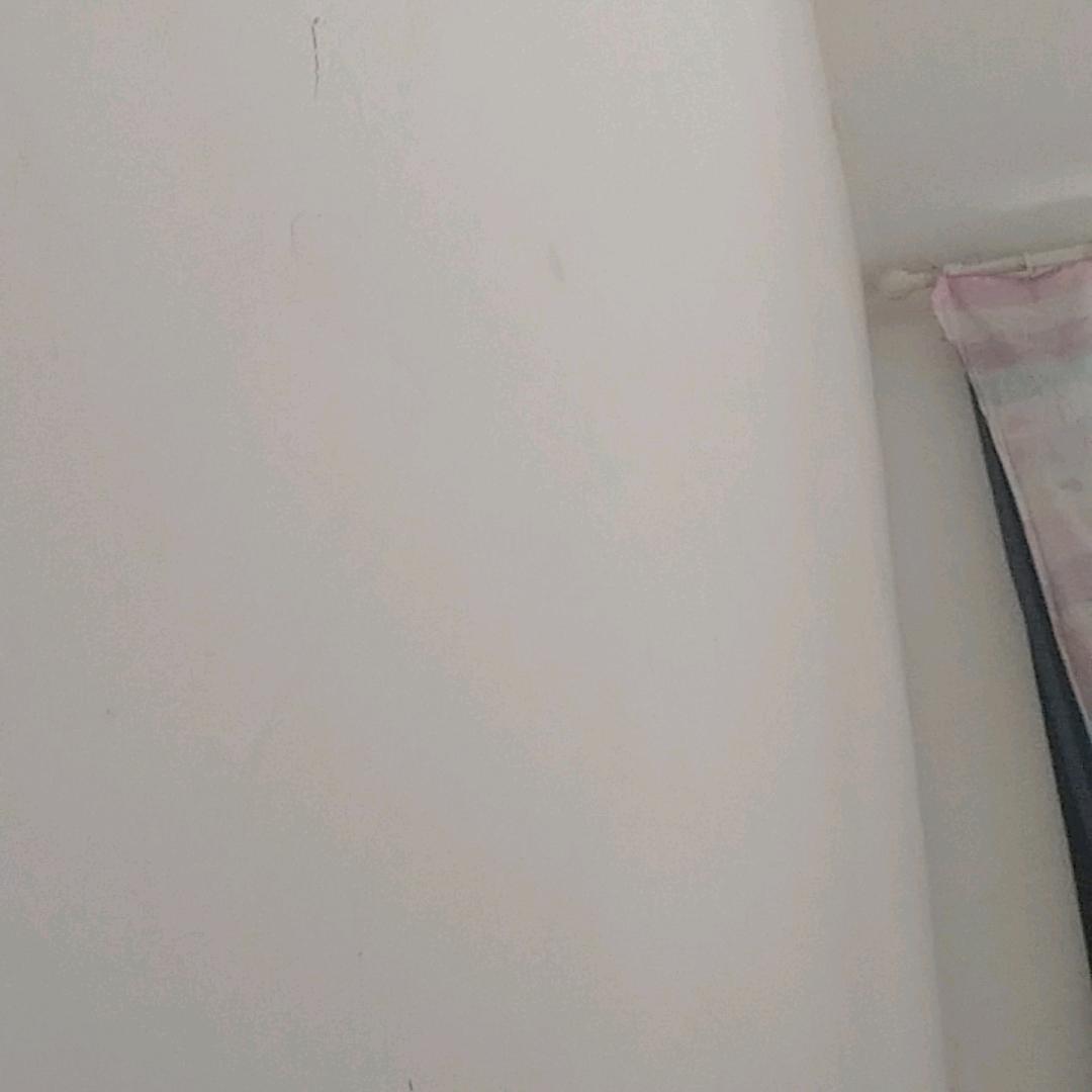 菲菲
