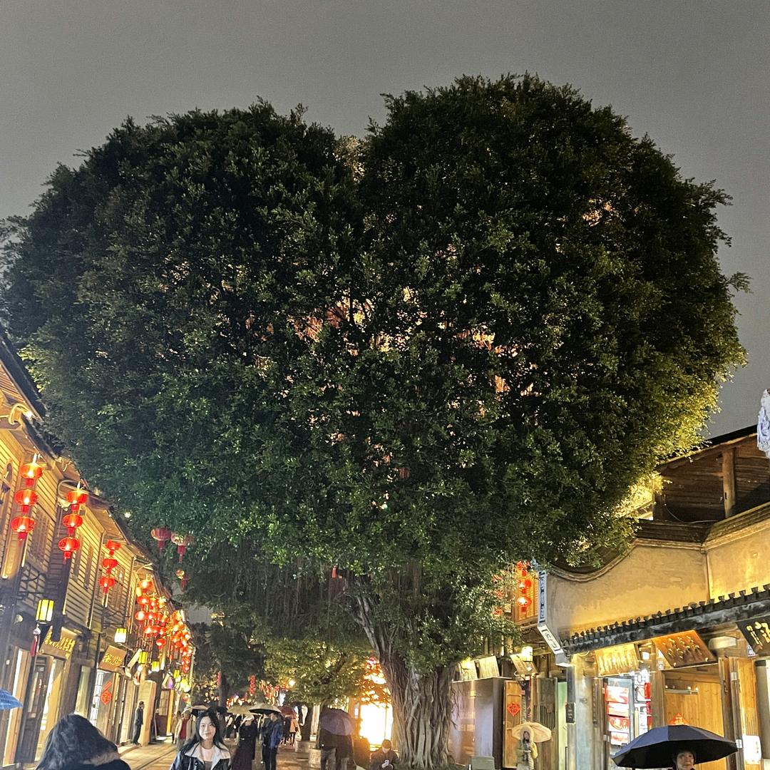 专业女裤2号店的头像