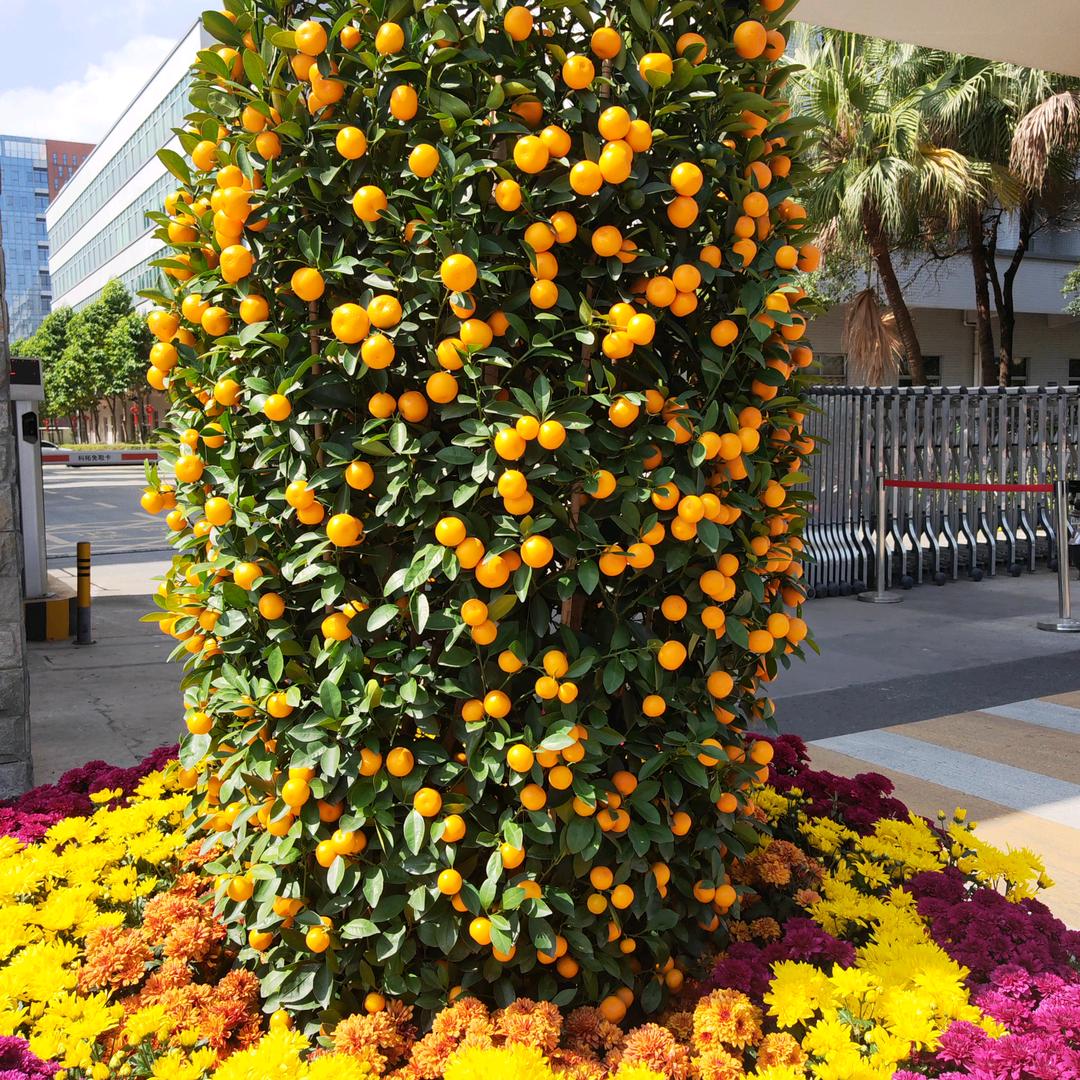 明泉阁文化传播