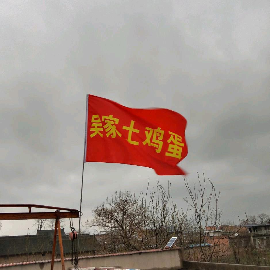 西安武哥《吴家土鸡》一切随缘