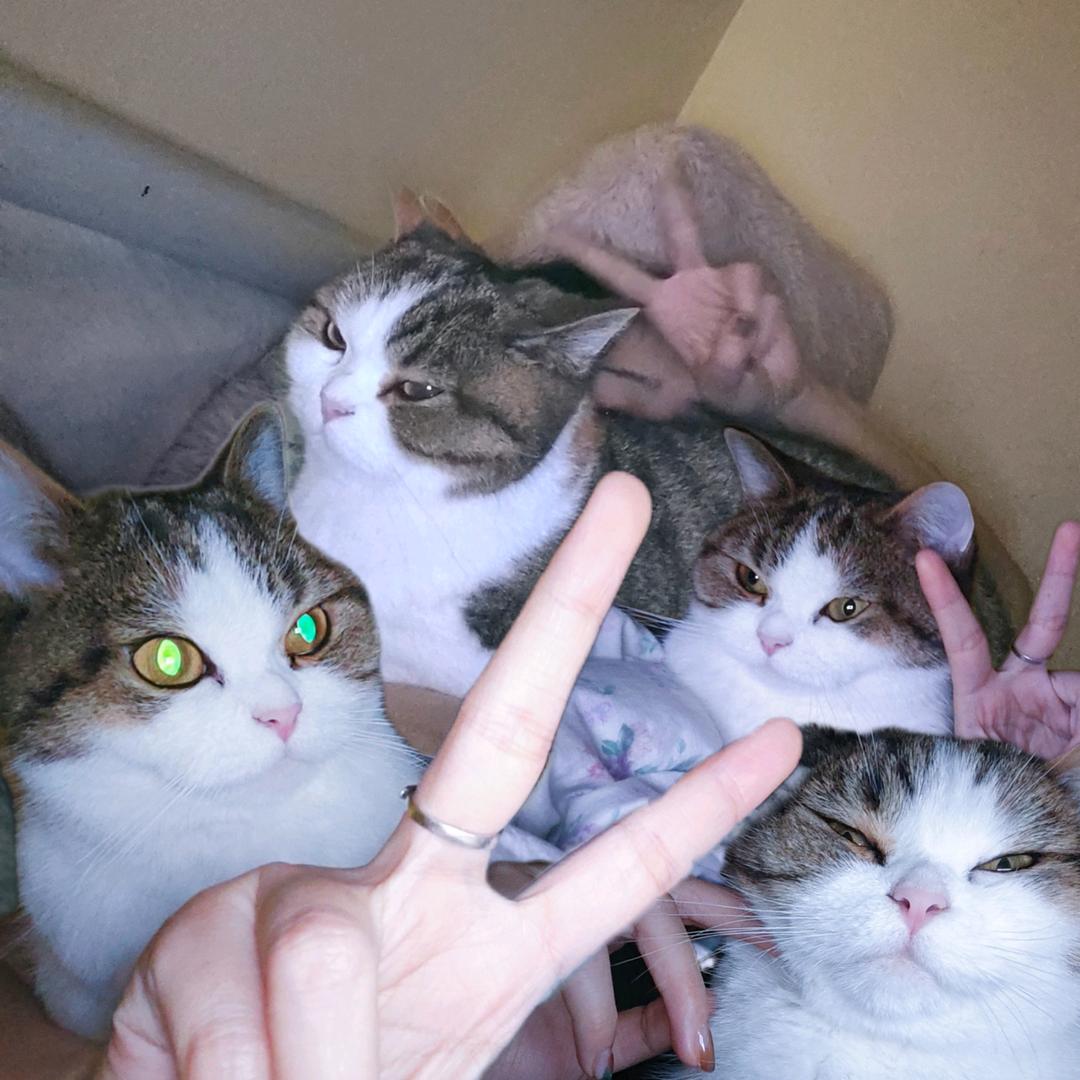 🐮🐴➕🧊【不加糖谢谢】