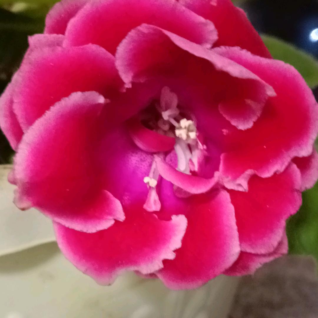 快乐每一天❤️