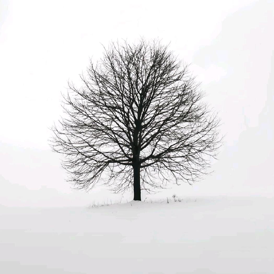 青玉案.
