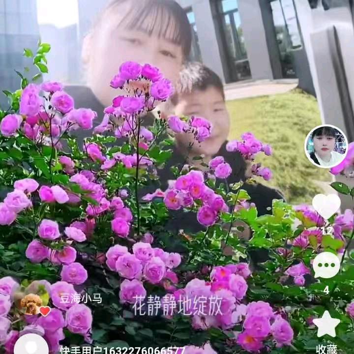 小兰姐，看淡人生