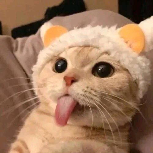 我也会发呆呀。