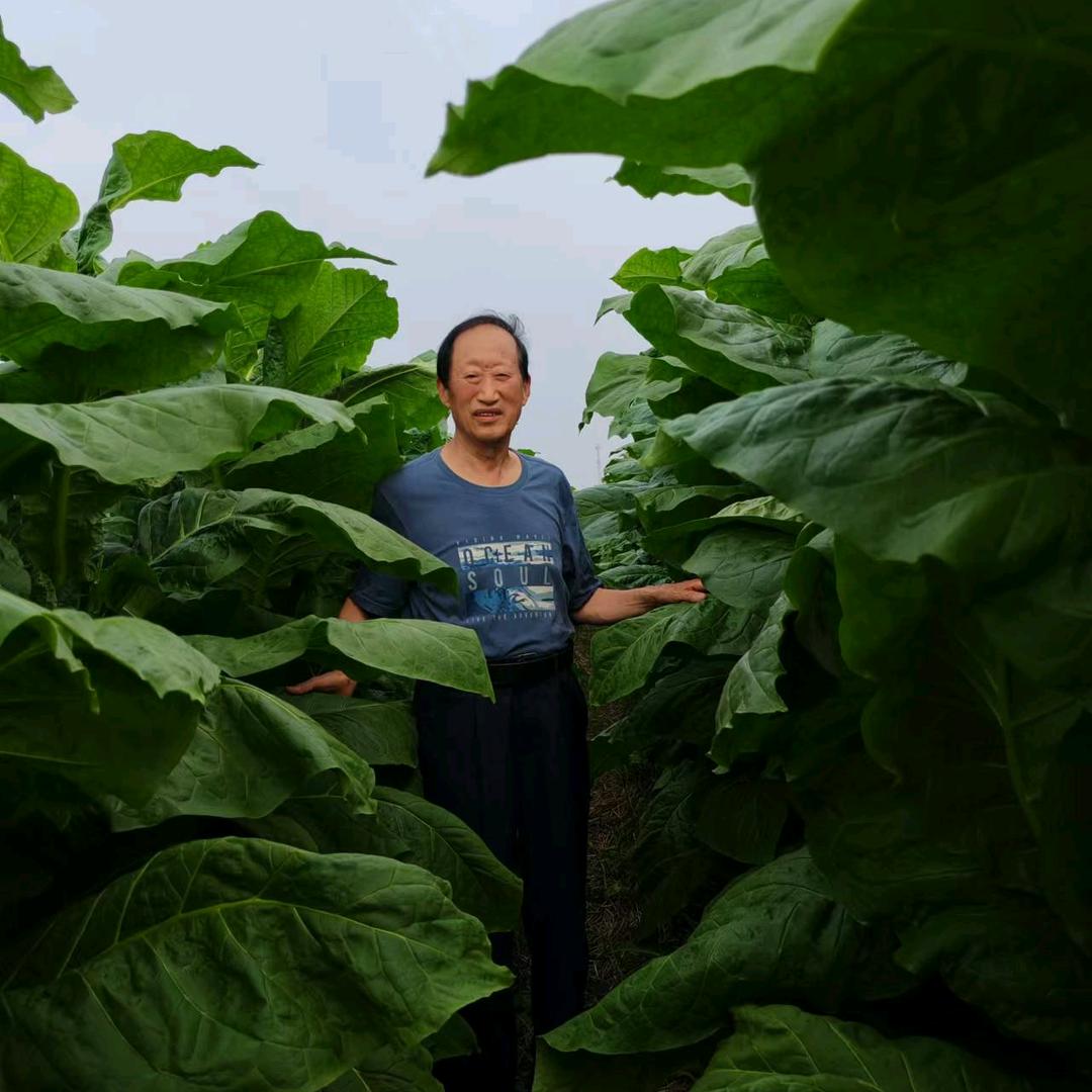 倍尔农化企业店