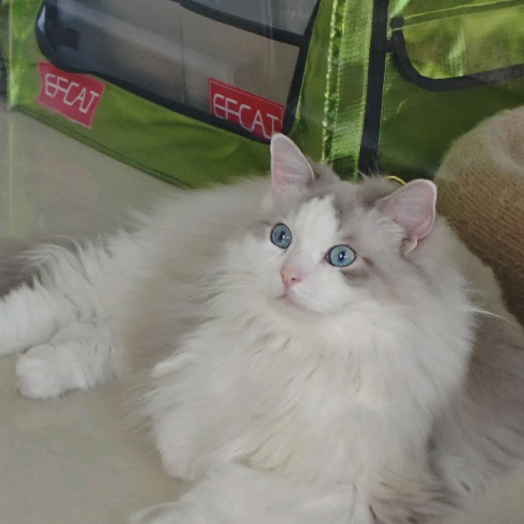 少吃一点就会瘦