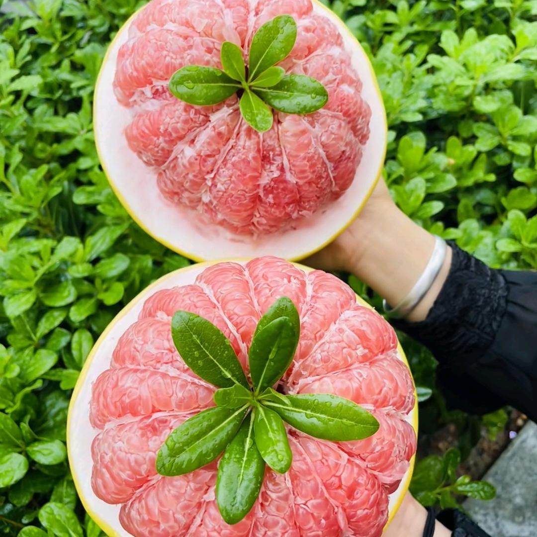 小羊铺子
